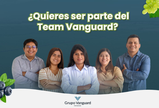 ¡Postula a Vanguard Group!
